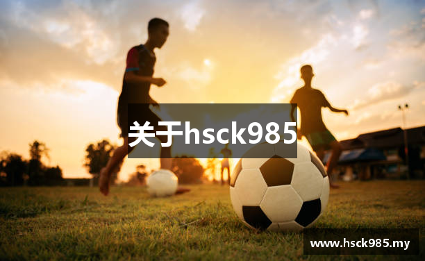 关于hsck985
